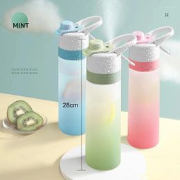 Water Bottles Bottle For Girls Outdoor Sport Fitness Cup Large Capacity Spray BPA Free Drinkware Travel 650ML