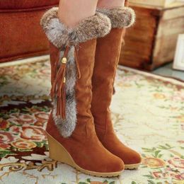 HBP Non-Brand Fashion Plush Snow Boots Winter New Arrival Warm Ladies Boots Round Toe Elegant Suede Slope Heel Winter Shoes For Women