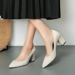 Dress Shoes Women High Heels 2024 Spring Pointed Toe Chunky Fashion Office Pumps Square Heel Ladies