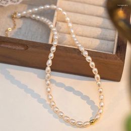 Choker Minar Simple Rice Freshwater Pearl Strand Beads Beaded Necklace For Women's Mujer Wholesale Real Gold Plated Copper Chokers