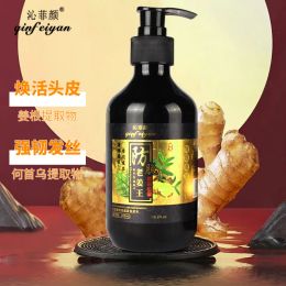 Shampoos Antisterile hair solution. Ginger shampoo. Remove dandruff, control oil, fix hair and prevent shampoo hair shampoo hair care