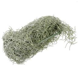 Decorative Flowers Simulated Hanging Vine Moss Flowerpot Landscaping Decor Preserved For Dried Plant Landscape Plastic