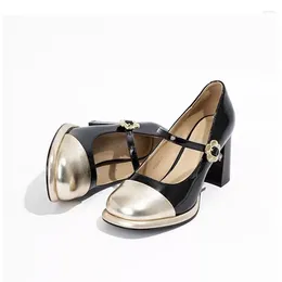 Dress Shoes High Heels Mary Janes Women Elegant Lolita Chunky Sandals Summer 2024 Designer Pumps Walking Mujer Zapatos