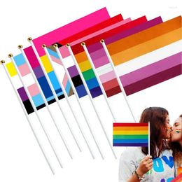 Party Decoration Pride Flags Set 9pcs Hand Waving For LGBTQ Community LGBT Bisexual Transgender Pangender Gay Lesbian Queer