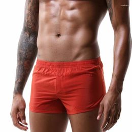 Underpants Men's Underwear Boxer Pants Casual Shorts Mens Gay Short Briefs Men