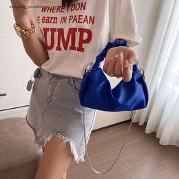 Wholesale Retail Brand Fashion Handbags Bag Womens Nylon Folded Cloud Dumpling Chain Strap Single Shoulder Crossbody Handheld Small Tide