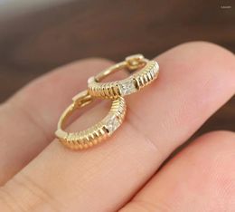 Hoop Earrings Woman Fashion Jewellery Natural AU750 18K Gold Earring Diamonds Ear Nails