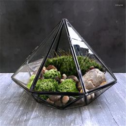 Vases Minimalism Diamond Shape Hanging Glass Terrarium Local Tyrants Black Geometric Solder Housing For Plants Moss