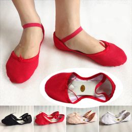 shoes 2024 Women Soft Ballet Shoes 5 Color Red Black Flesh White Pink Canvas Beginner Shoes Girls Ladies Child Adult Dance Shoes