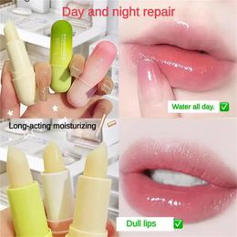 3 Colours Lip Balm Moisturing AntiCracking Natural Long Lasting Lipbalm Nourish Lipstick Korean Cosmetics 1pcs 240311