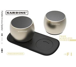 TWS Aluminium Bluetooth Speakers Sardine F1 Subwoofer Metal column Bass Speaker dock charging For iPhone hands Mic Portable L6893260