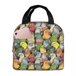 Ball Caps Colour Of Conures Lunch Bag Box Parrot Pet Bird Children Aluminium Foil Portable Lunchbox