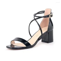 Dress Shoes Women Sandals Square 5cm Thick Heel Casual Open Toe Cross Buckle Gladiator Sexy High Heels Office Woman Pumps Dance