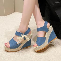 Sandalen Damen Wedges 2024 Sommer Mode Mesh Peep Toe Plattform High Heel Frauen Sexy Party Kleid Alias