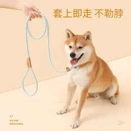Dog Collars Cat And Leash For Large Medium-sized Dogs The General Safety Fastener Collar Walking Pet Suppli