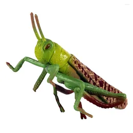 Garden Decorations Model Insect Grasshoppers Figures Toys Bugs Green For Themed Party Children