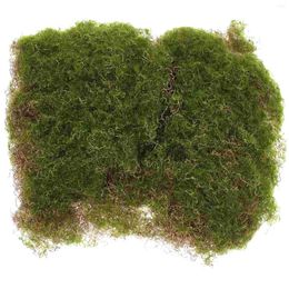 Decorative Flowers Simulated Moss Block Faux Greenery Fake Grass Micro Landscape Prop Lawn