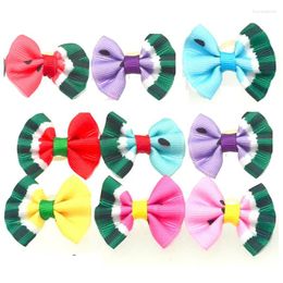 Dog Apparel 100PC/Lot Hair Bows Watermelon Cat Grooming Rubber Bands Summer Accessories Pet Supplies