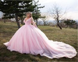 Baby Pink Blue Quinceanera Dresses 2020 Lace Long Sleeve VNeck Masquerade Ball Dresses Sweet 16 Princess Pageant Dress For Girls 6316056