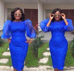 Aso ebi Short Cocktail Dresses with Puffy Sleeve Royal Blue Homecoming Prom Dress Lace Kneelength Sheath Evening Party Gowns6145690