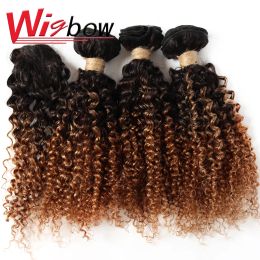 Weaves Short Ombre Human Hair Bundles with Closure Brazilian Jerry Curly Bundles with Closure 8 10 12inch Short Natural Human Hair