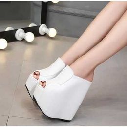 Dress Shoes New Summer Slippers High Heels 15/18CM Muffin Thick Platform Heel Women WedgeCasual Female Ladies Fish Mouth H2403212QCS4F1S