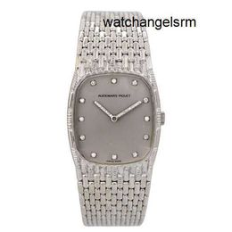 Business Fashion AP Wrist Watch 18k Platinum Scale with Diamond Set Fashion Manual Mechanical Womens Watch Luxury Watch Swiss Watch Highend