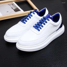 Casual Shoes Senior Men's Small White Fashion Art Leather Day Thick Soled Loafers Skateboard A01