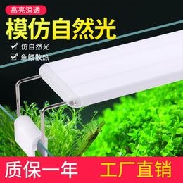 Fish tank energy saving lamp LED special lamp turtle landscaping waterproof lamp water grass lamp medium and small aquarium frame lamp 230706