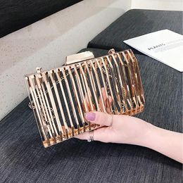 Bag Metal Material Women Designer Handbags 2024 Girl Shopper Purse Fashion Casual Individuality Champagne Chain Hollow Crossbody