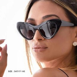 Sunglasses Retro Cat Eye Female Brand Designer For Women Fashionable Driving