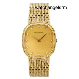 AP Wrist Watch Modern Functional Wristwatch 18k Scale Diamond Set Manual Mechanical Fashion Womens Watch Luxury Watch Swiss Watch Highend Famous Watch