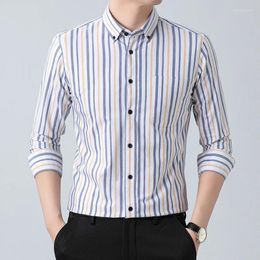 Men's Casual Shirts Top Quality Pure Cotton Shirt Tops 2024 Spring Classic Stripes Clothes Long Sleeve Male Dress