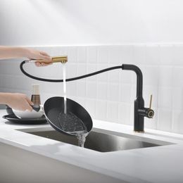 Bathroom Sink Faucets 1 Set Golden Single Handle Black Body Drawn And Cold Kitchen Faucet 304 Stainless Steel