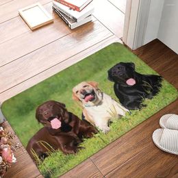 Carpets Cute Labrador Doormat Bathroom Printed Polyeste Carpet Kitchen Door Floor Hallway Pet Dog Decor Rug Mat Bath