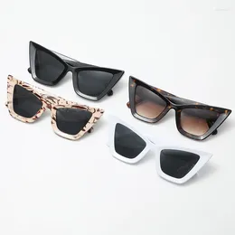 Sunglasses Vintage Cat Eye Women Men Retro Punk Sun Glasses Luxury Black Leopard Shades Eyewear De Sol Oculos