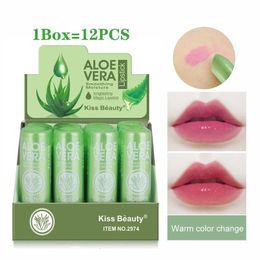 1224PCS Bulk Wholesale Lips Comestics Set Aloe Vera Lip Balm Sexy Lipstick Argan Oil Plumping Moisturising Batom 240313