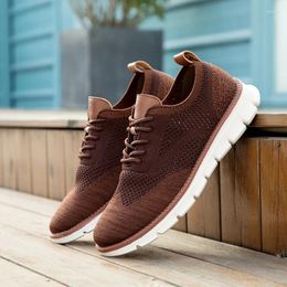 Casual Shoes Men's Summer Spring Autumn Breathable Mesh Trend Loafers Outdoor Walking Net Cloth D290