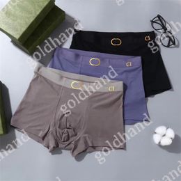 New Letter Printed Underwear Mens Designer Boxers Ice Silk Breathable Underpant Sexy Male Briefs