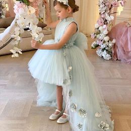 Flower Girl Dresses Garden Summer Weddings Kids Formal Wear Lace Appliques Sheer Sleeves Beaded Bow