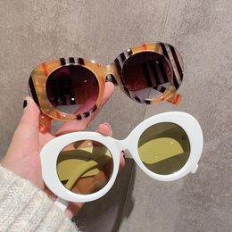 Sunglasses Round Shape Men Women Fashion Stripe Color Anti-glare For Driving Hiking Glasses