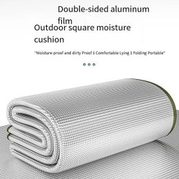 Mat Outdoor Camping Moistureproof Mat Thickened Warm Tent Cushion Insulation Picnic Mat Portable Waterproof Household Floor Spread