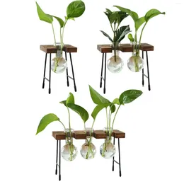 Vases Hydroponic Flower Vase Glass Bud Plant Terrarium Decorative With Wooden Stand For Living Room Home Dining Table