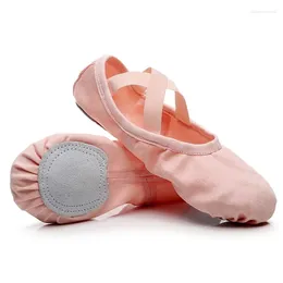 Dance Shoes SUN LISA Professional Stretch Fabric Soft Ballet For Women Lady Children Split Yoga Flat Dancing