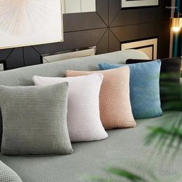 Pillow Thickened Living Room Pillowcase Fleece Sofa S Dust Cover Office Lumbar Pillowcover Bedside Backrest Square No Core