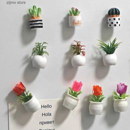 Fridge Magnets 4-5 Cactus Frozen Magnet Plants and Flowers Re Freezer Magnetic Stickers 3D Cute Grass Message Board Reminder Home Decoration Y240322