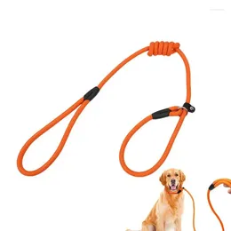 Dog Collars Long Training With Comfortable Collar Lead Traction Rope For Walking Hunting Camping