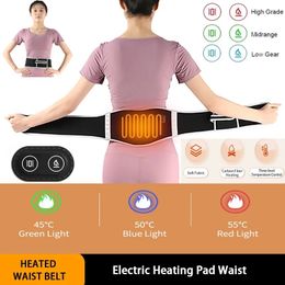 Electric Heat Massager Relax Waist Lumbar Back USB plug in Pad Protector Brace Band Support Anti Pain Relief Therapy Tool 240313