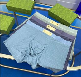 3 teile/los Herren Unterwäsche Unterhosen Boxer Shorts Aus Bio-baumwolle Modal Sexy Homosexuell Männliche Boxer Atmungsaktive Neue Mesh Mann Unterwäsche größe M-XXL RDHSRJST