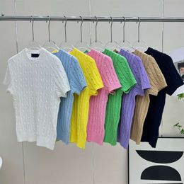 Swept Pony Embroidery Classic Fried Dough Twists Round Neck Knitted Sleeve Candy Color Short Top Designer Clothing